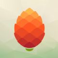 ɹ֙C(j)appd v1.0