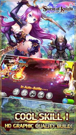 Storm of Knight׿D4