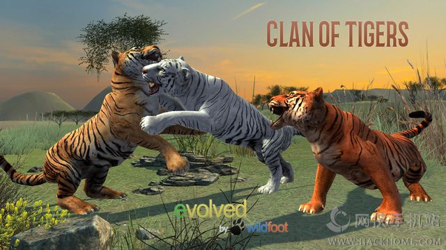 ׿棨Clan of Tigersͼ1: