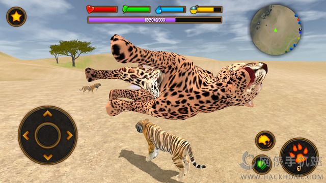 ׿棨Clan of Tigersͼ4: