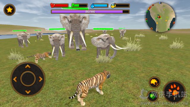 ׿棨Clan of Tigersͼ5: