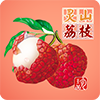 灵山荔枝网app软件下载手机版 v1.6