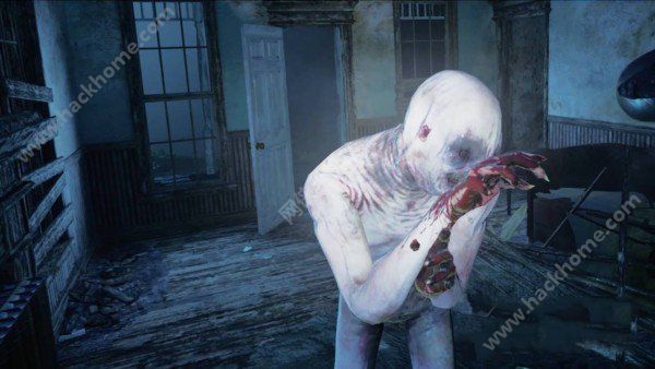 ׼Ϸİ׿棨Killing Floor Incursionͼ2: