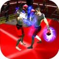 Boxing War 3DٷϷֻ棨ȭս3D v1.0