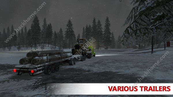 ģϷ׿İ(Arctic Trucker Simulator)ͼ5: