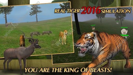 ϻģ2024Ϸ׿İ棨real tiger simulation 2024ͼ1: