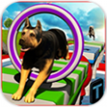 �ؼ�������Ϸ��׿�ֻ��棨Stunt Dog Simulator 3D�� v1.1