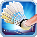 ë°׿棨Badminton Legend v1.0.119