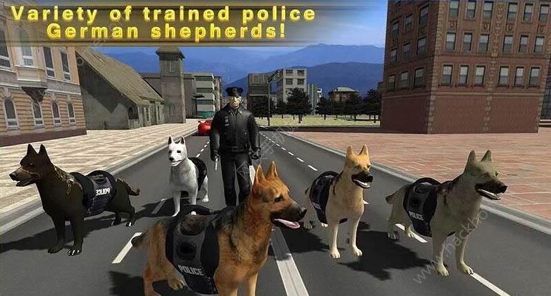 Ȯ3DϷֻ棨Police Dog Secret Agent 3Dͼ3: