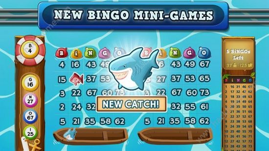 你想跟我玩賓戈遊戲嗎bingo! congratulati.