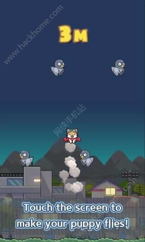 СھϷ׿棨Jet Dog The Championͼ1: