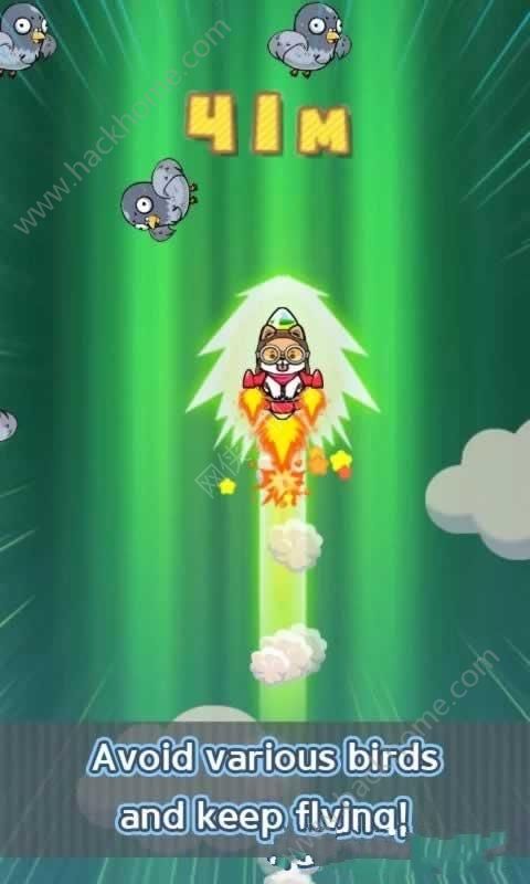 СھϷ׿棨Jet Dog The Championͼ3:
