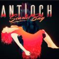 Antioch Scarlet BayϷ