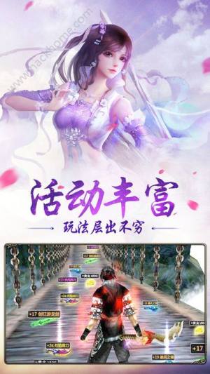 龉پWD4
