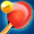 ƹϷֻϷأTable Tennis Games v1.4