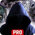  Pro[֙Cd v1.0