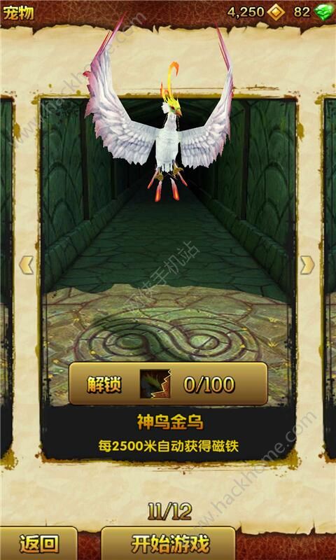 R23.8.4ٷ°׿D5: