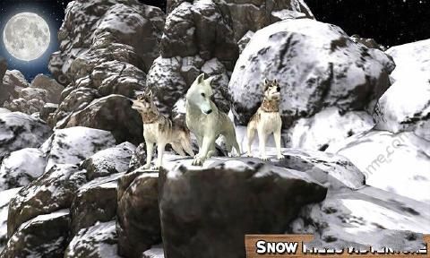 ѩ°׿棨Snow Wolf SimulatorD4: