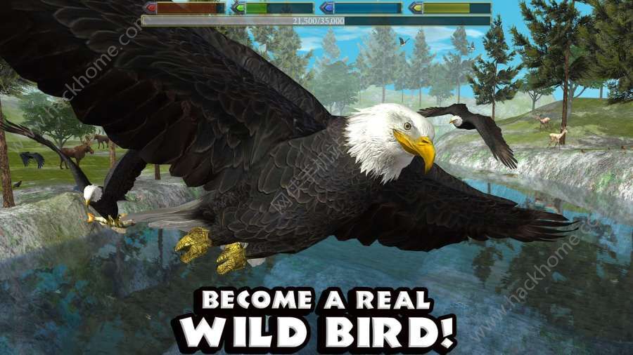 �ռ���ӥģ���������°�׿�棨Ultimate Bird Simulator��ͼ1: