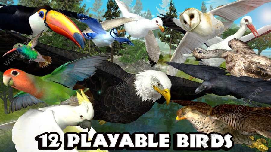 �ռ���ӥģ���������°�׿�棨Ultimate Bird Simulator��ͼ2: