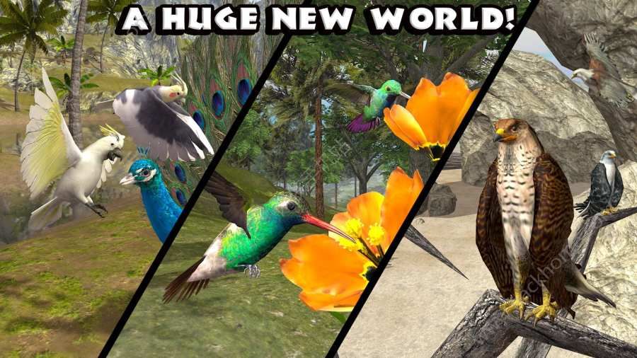 �ռ���ӥģ���������°�׿�棨Ultimate Bird Simulator��ͼ4: