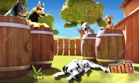 ģ3D°׿(Dog Simulator 3D Games)ͼ3: