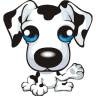 ݿйֻapp v3.4.002