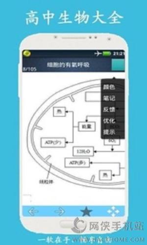 ȫappD1