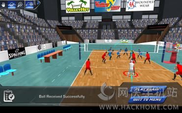 İ׿棨VolleySimͼ3: