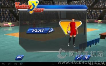 İ׿棨VolleySimͼ4: