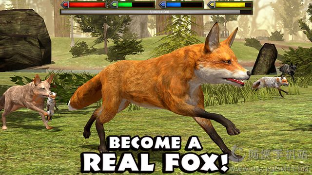 KģM°׿棨Ultimate Fox SimulatorD1: