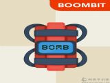 The Bomb���⣺���������𵯴���