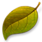 Ұѧϰֻapp v3.8.1