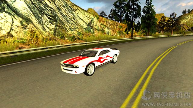 Real Duty Driver Racing 3Dκİͼ1: