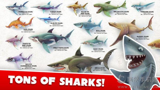 3D氲׿İ棨Hungry Shark Worldͼ2:
