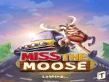 ������¹Miss the Moose���⣺����������������¹