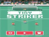 ССιٷ棨Tiny Striker v2.0.3