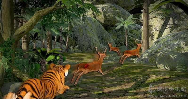 Ұð3D°׿棨Wild Tiger Adventure 3Dͼ1: