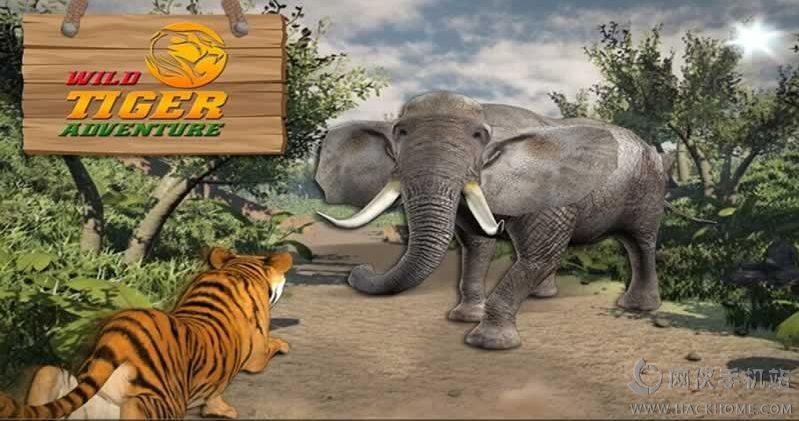 Ұð3D°׿棨Wild Tiger Adventure 3Dͼ2: