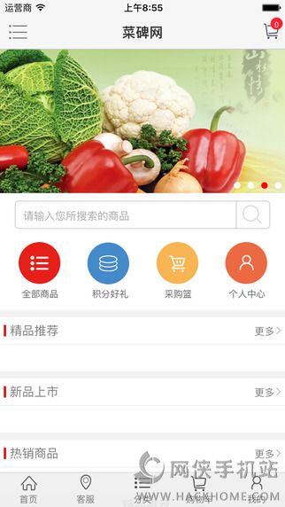 ˱WپWappD1: