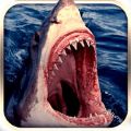 Angry Shark Evolution 2024׿