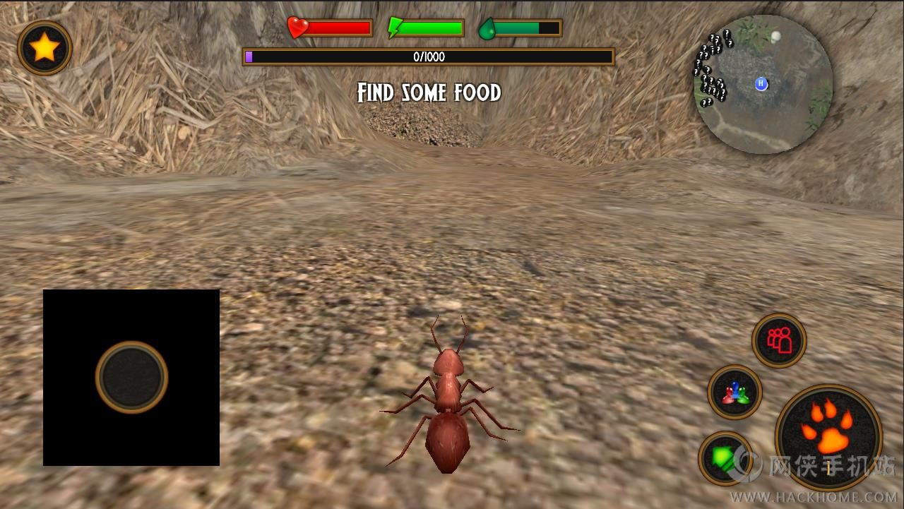ģϷ°׿棨Fire Ant Simulatorͼ2: