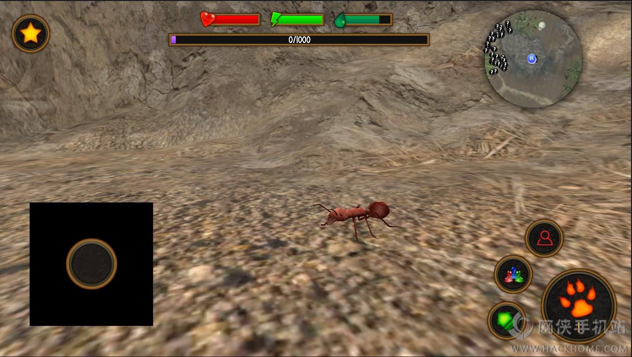 ģϷ°׿棨Fire Ant Simulatorͼ3: