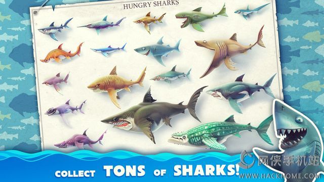 IOS棨Hungry Shark Worldͼ4: