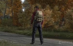 DayZֻͼ1