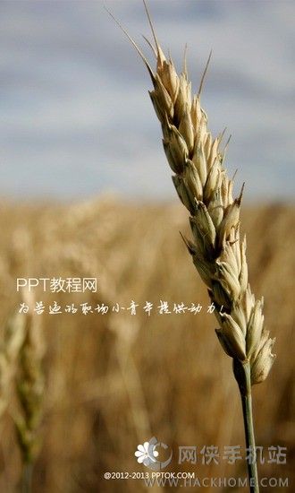 PPT�̳���APPͼ2