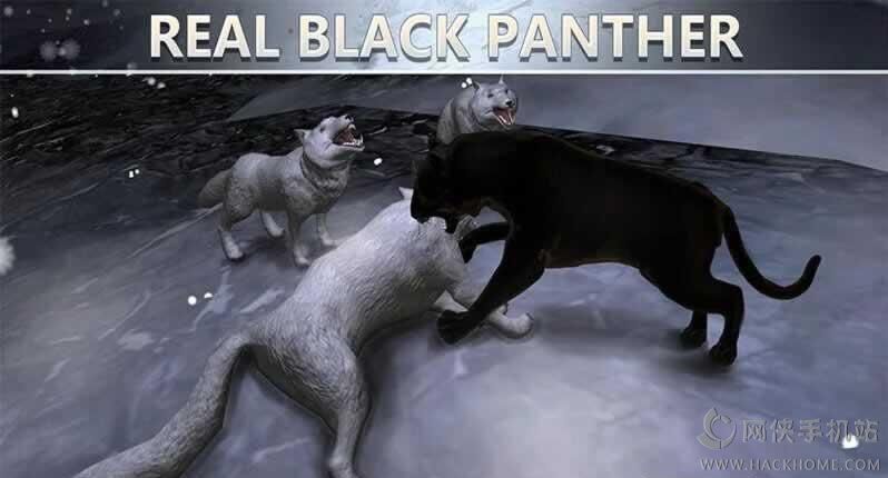 �ڱ�ģ����2024�������°�׿��ͼ4: