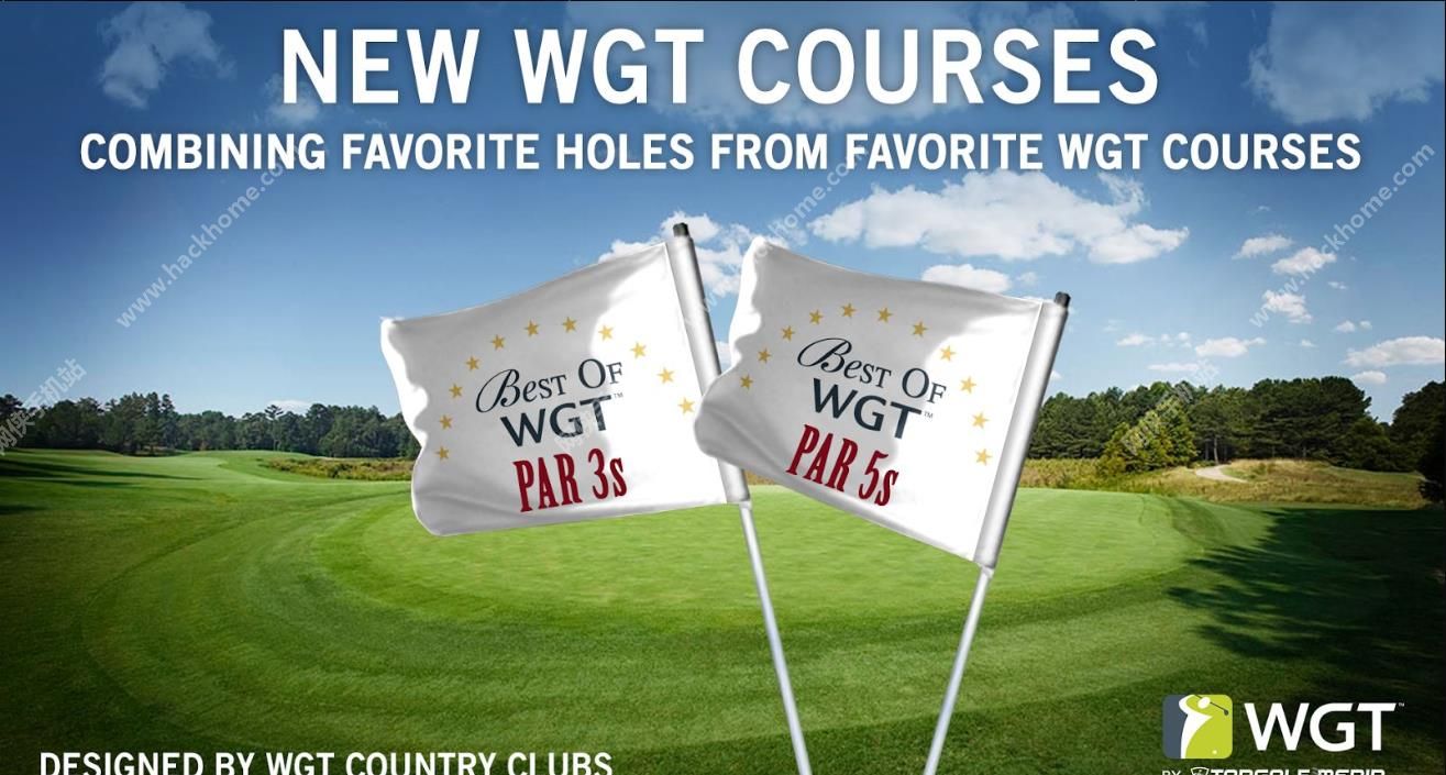 ߶ѲϷ׿棨WGT World Golf Tour Gameͼ1:
