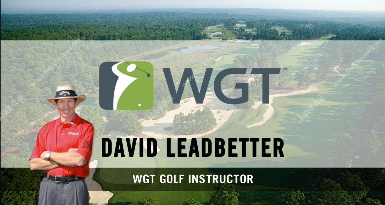 ߶ѲϷ׿棨WGT World Golf Tour Gameͼ5:
