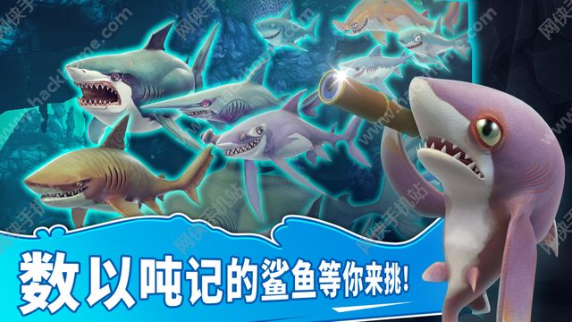 3D׿棨Hungry Shark Worldݰͼ1: